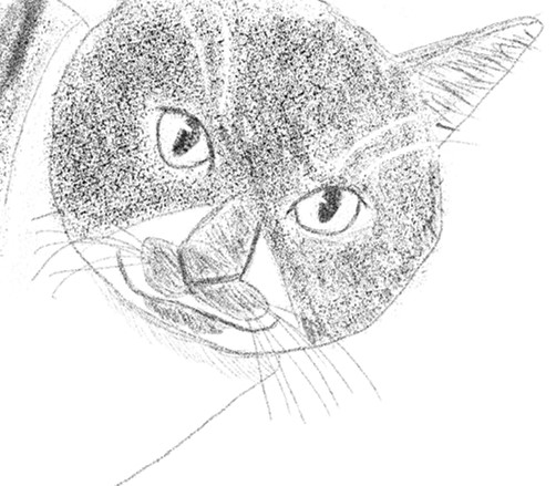 攻略 リングフィットアドベンチャーのお金稼ぎ いかすブログ